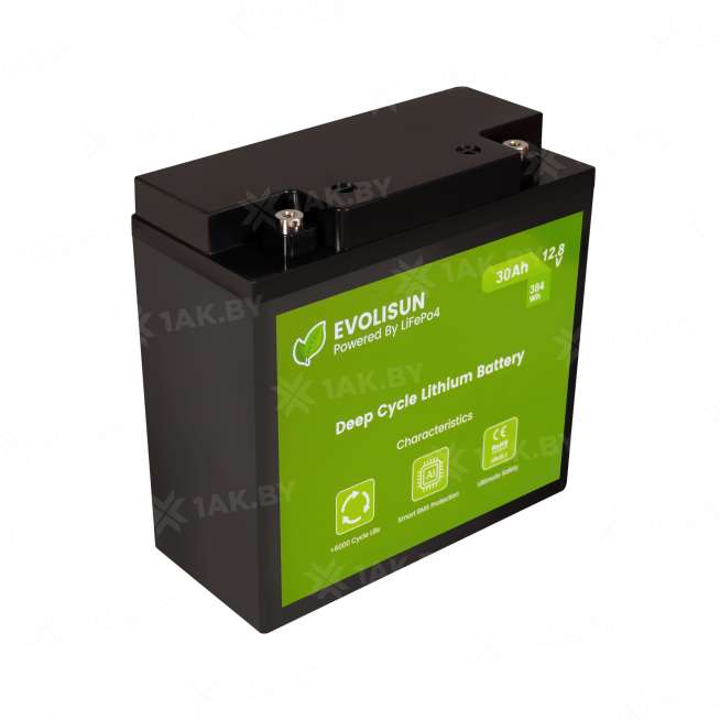 Аккумулятор EVOLISUN (30 Ah) , 12.8 V  EVOLISUN30Q10-LFP 2