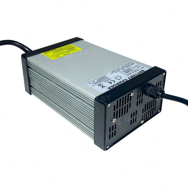 Зарядное устройство ADY24V30A для свинцово-кислотных аккумуляторов в комплекте с коннектором Anderson SB50A красный 1