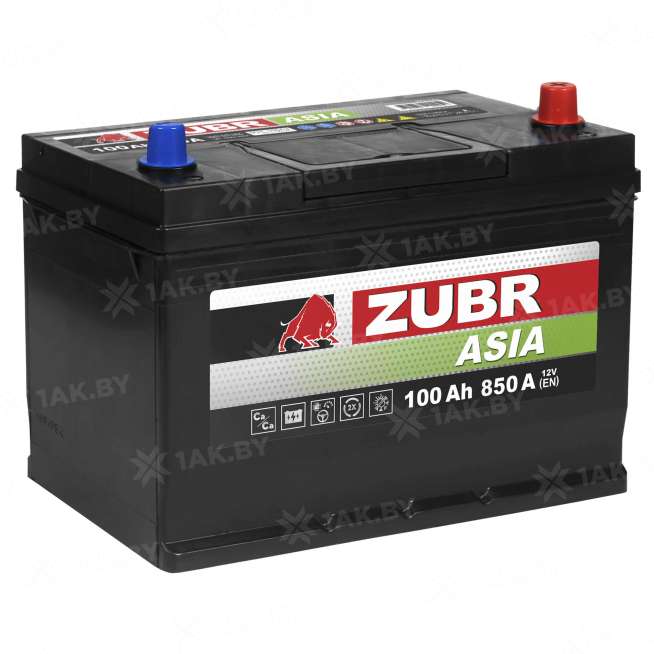Аккумулятор ZUBR Premium Asia (100 Ah) 850 A, 12 V Обратная, R+ D31 ZU1000JP 0
