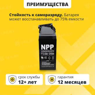 Аккумулятор NPP для ИБП, детского электромобиля, эхолота FT (55 Ah,12 V) AGM 277x106x221 17.3 кг, Китай 1
