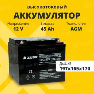Аккумулятор ZUBR для ИБП, детского электромобиля, эхолота (45 Ah,12 V) AGM 197x165x170 14.3 кг 0