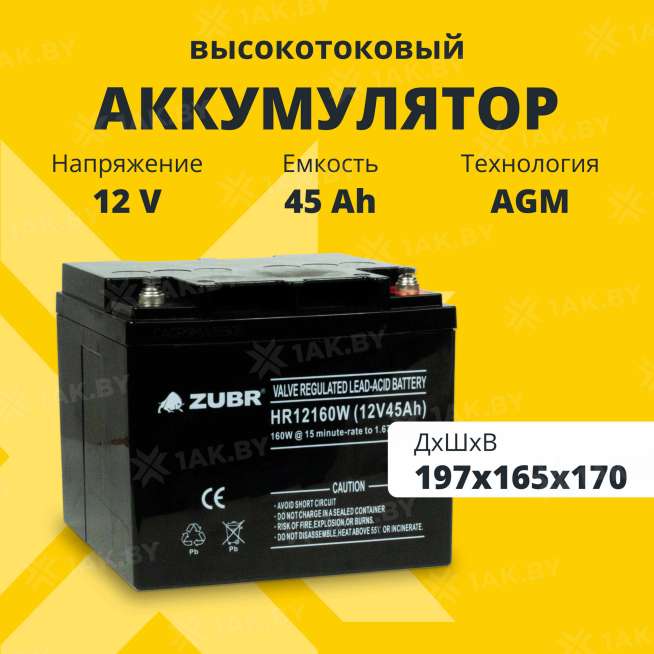 Аккумулятор ZUBR для ИБП, детского электромобиля, эхолота (45 Ah,12 V) AGM 197x165x170 14.3 кг 0
