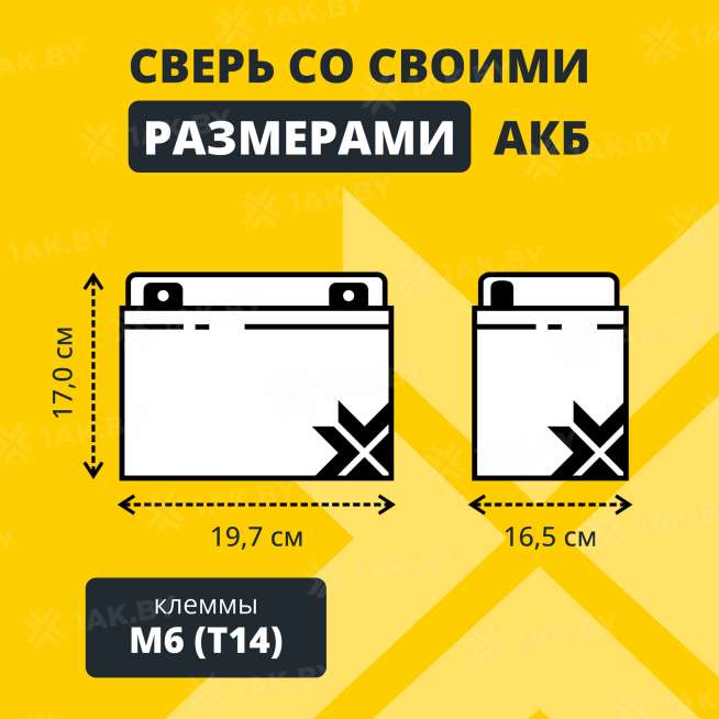Аккумулятор ZUBR для ИБП, детского электромобиля, эхолота (45 Ah,12 V) AGM 197x165x170 14.3 кг 2