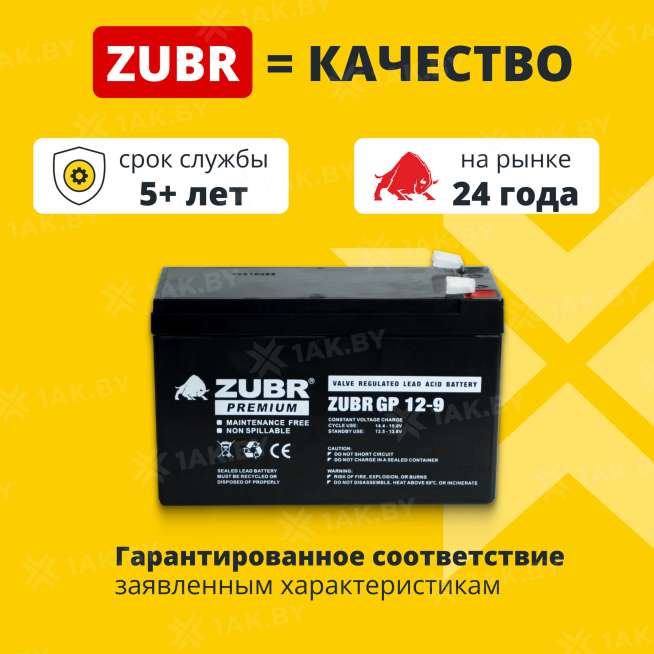 Аккумуляторная батарея ZUBR GP 12V 9Ah, Китай 1