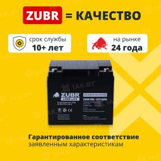 Аккумулятор ZUBR для ИБП, детского электромобиля, эхолота (45 Ah,12 V) AGM 198x166x169 14.5 кг 1