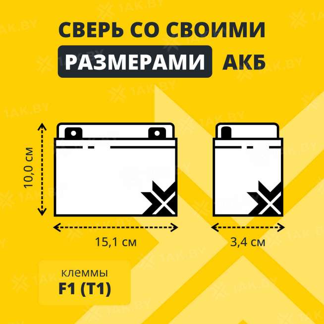 Аккумулятор ZUBR для ИБП, детского электромобиля, эхолота (9 Ah,6 V) AGM 151x34x100 1.35 кг 2