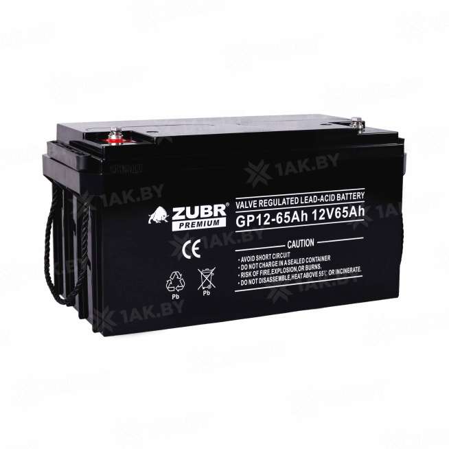 Аккумулятор NPP для ИБП, детского электромобиля, эхолота (65 Ah,12 V) AGM 350x166x179 21 кг 1