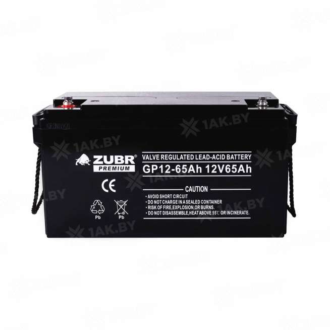 Аккумулятор NPP для ИБП, детского электромобиля, эхолота (65 Ah,12 V) AGM 350x166x179 21 кг 2