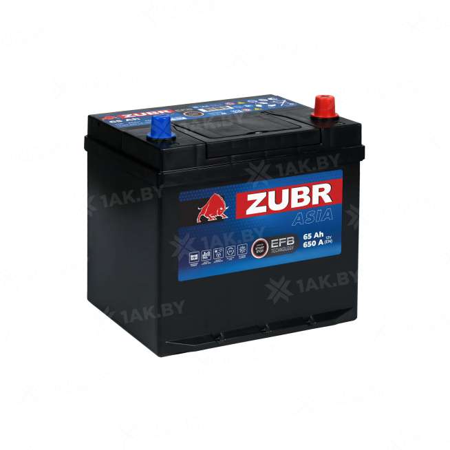 Аккумулятор ZUBR (65 Ah) 650 A, 12 V Обратная, R+ D23 ZU650JF 0