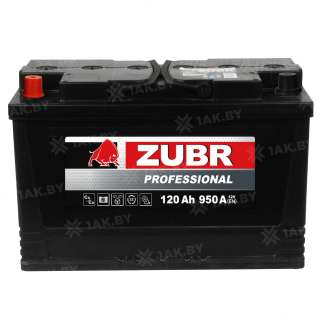 Аккумулятор Zubr Professional 120 Ah, 950 A, 12 V, Прямая полярность, L+, D2